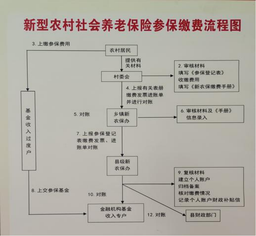 保定农村医保和社保有什么区别(农村医保跟社保的区别)